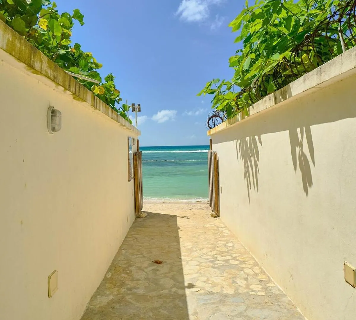 Caribbean Nature Sourrounded Refuge Apartment Juan Dolio 0*,